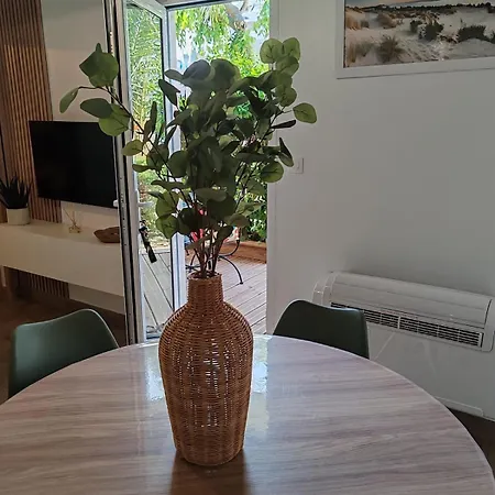 Le Patio D'elio, آركاشو